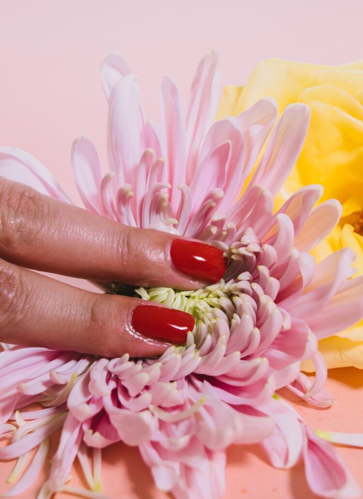 pink flower with two fingers and red nails touching it
