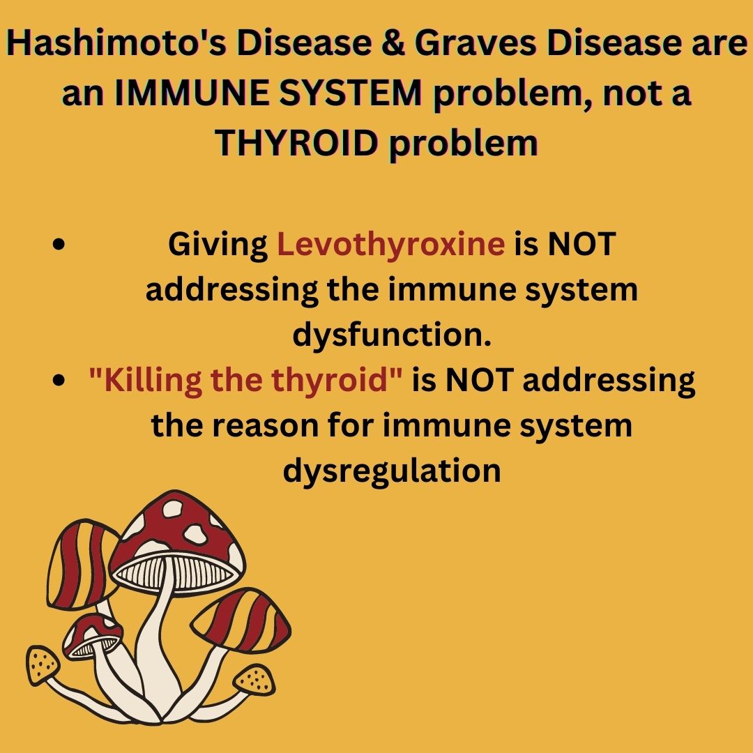 Infographic: Hashimoto's & Graves Disease, immune system disorders, not thyroid issues. Mushrooms lower thyroid antibodies.

