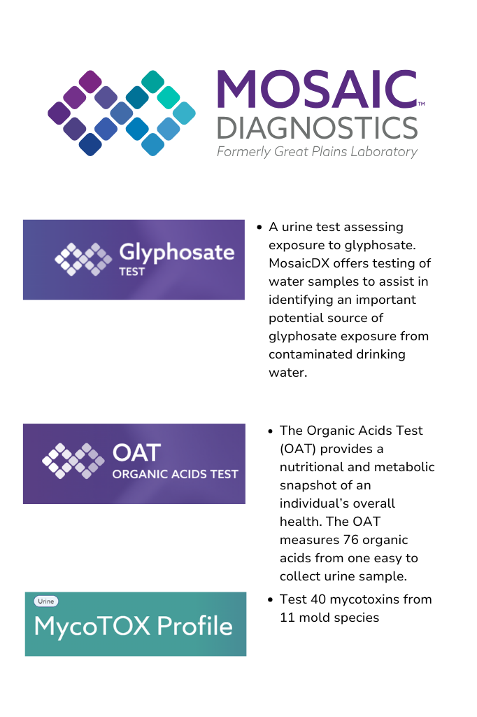 Organic Acid Test (OAT)
